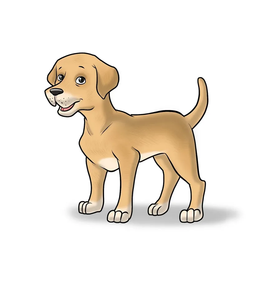 Quais Frutas Frescas os Cães Podem Comer?