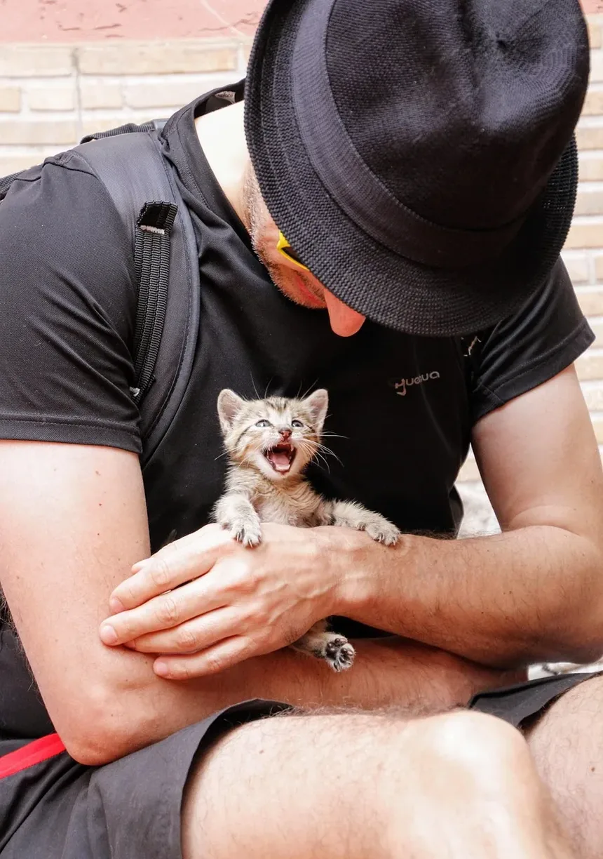 Por Que De Repente Estou Alérgico ao Meu Gato?
